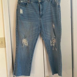 Wild Fable Plus Size Jeans